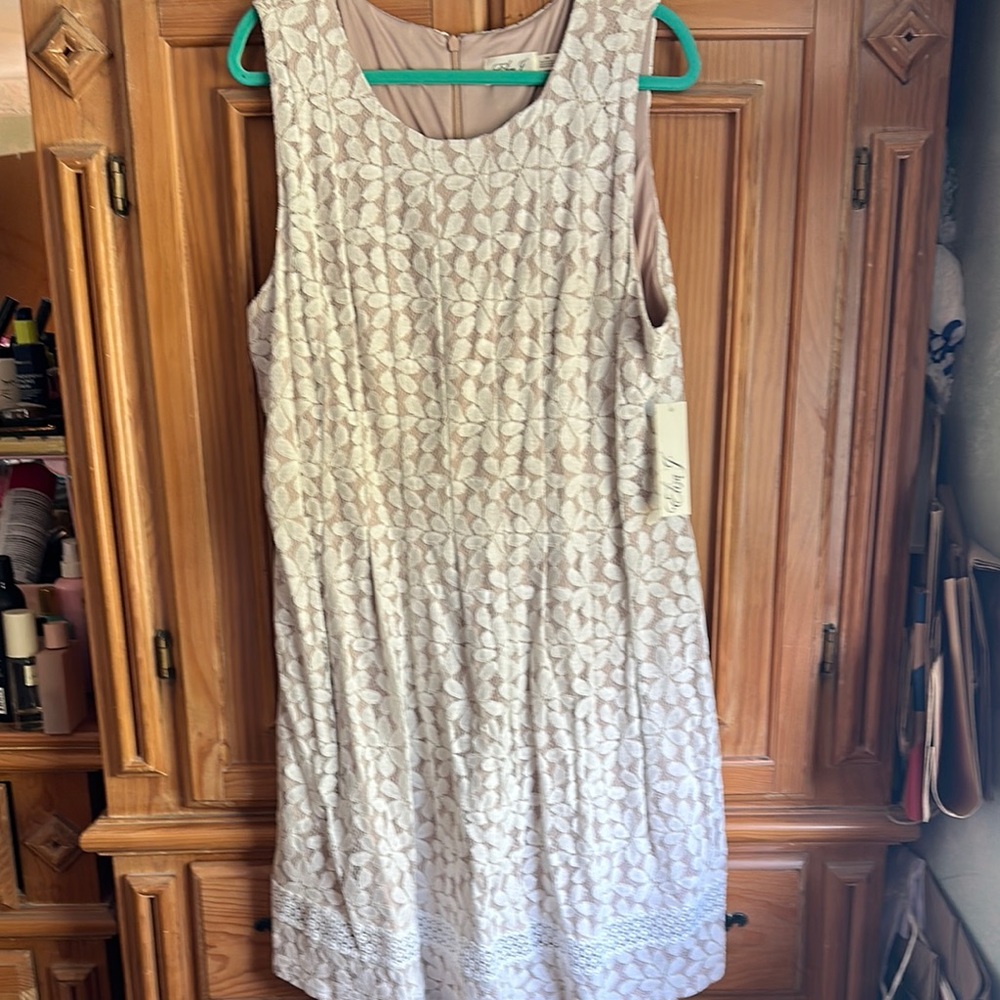 Elegant Cream Lace Dress